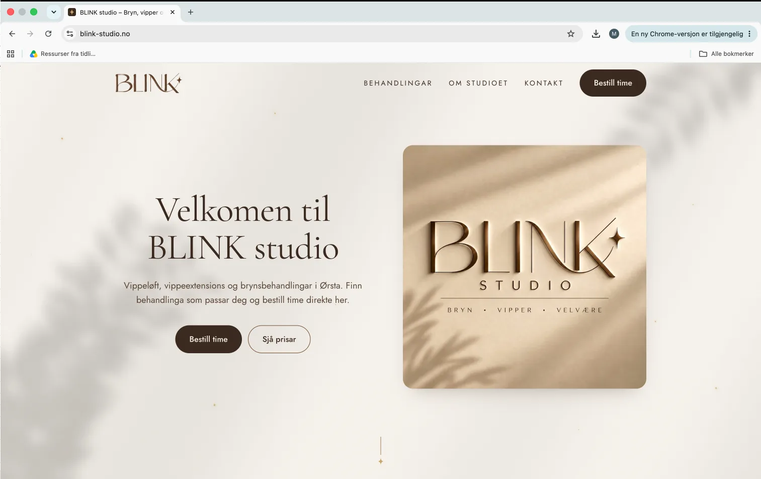 Skjermbilete frå BLINK studio